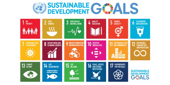 SDGs(持続可能な開発目標)とは
