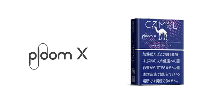 キャメル・パープル・オプション