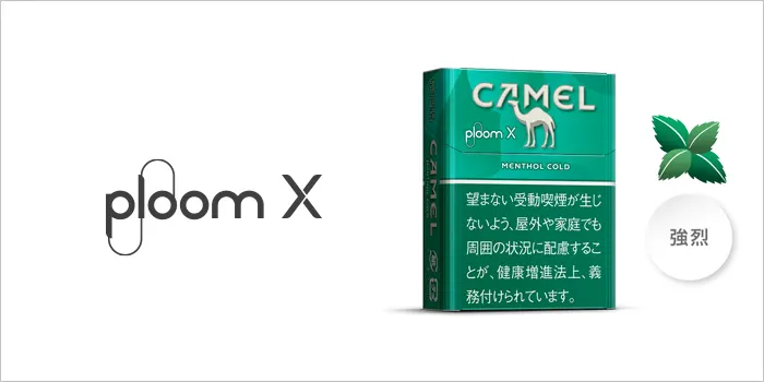 キャメル・メンソール・コールド