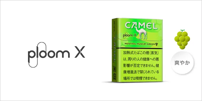 キャメル・メンソール・マスカットグリーン