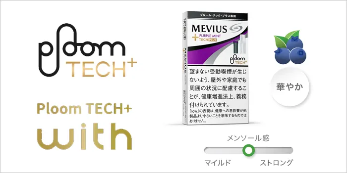 メビウス・スタンダード・パープルミント