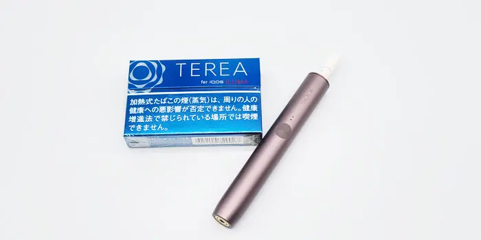 テリア・リッチレギュラーを実機レビュー