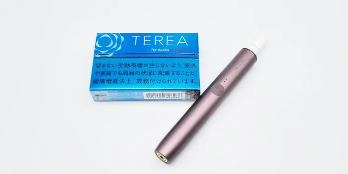 テリア・レギュラーを実機レビュー