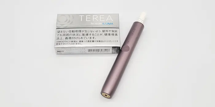 テリア・スムースレギュラーを実機レビュー