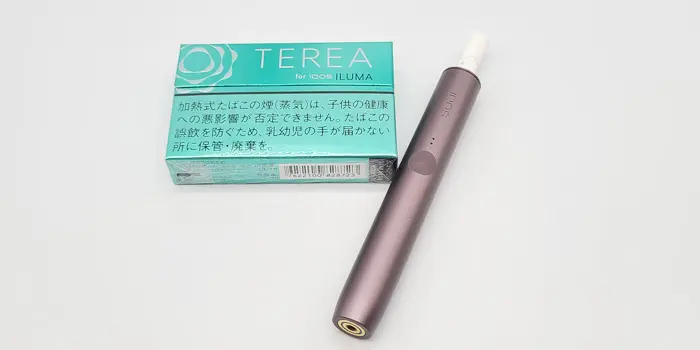 テリア・ミントを実機レビュー