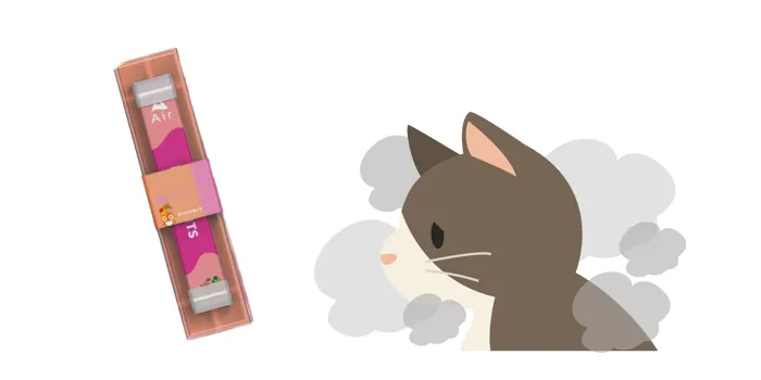 Air mini(エアーミニ)を使用する時の注意点