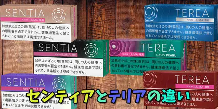 センティアとテリアの違いのイメージ画像