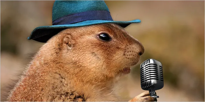 嫌煙家の歌手のイメージ画像