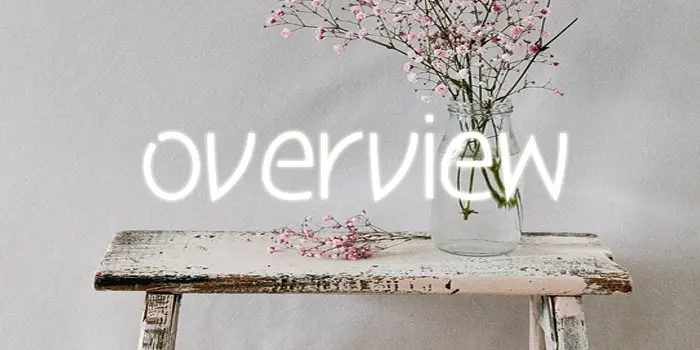 花瓶に挿された花と英語でオーバービューの文字