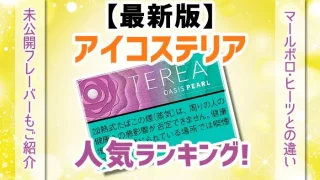 アイコステリア人気ランキングのアイキャッチ画像