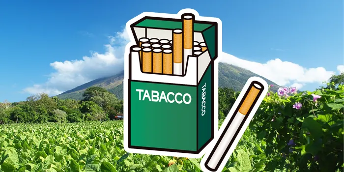 メンソールの紙巻きタバコのイメージ画像3