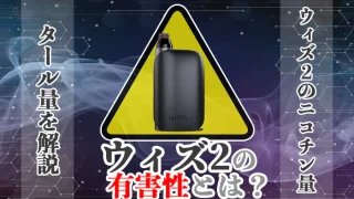 ウィズ2 害 アイキャッチ