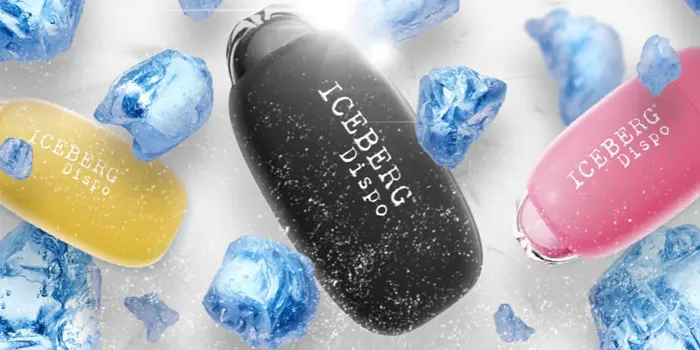 アイスバーグディスポの画像