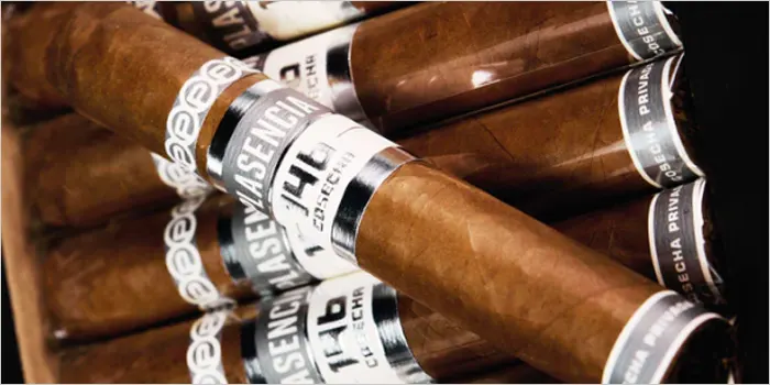 プラセンシア コセチャ146 ラ・ベガの画像