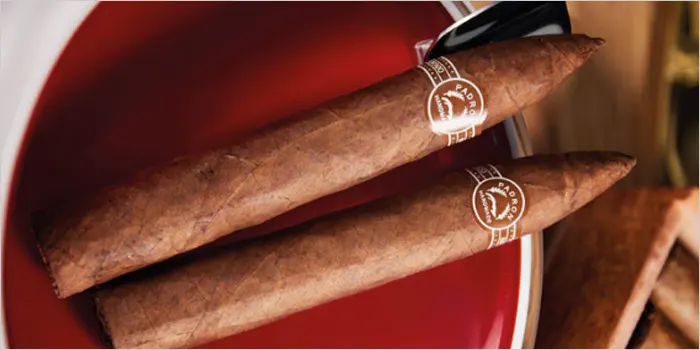 パドロン 6000の画像