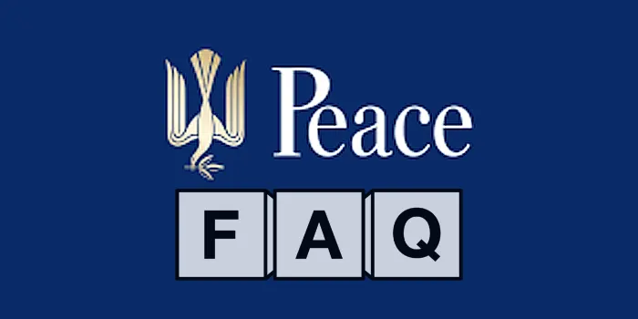 ピースにまつわるQ＆A