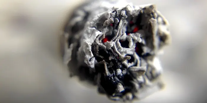 タバコの先っぽ画像