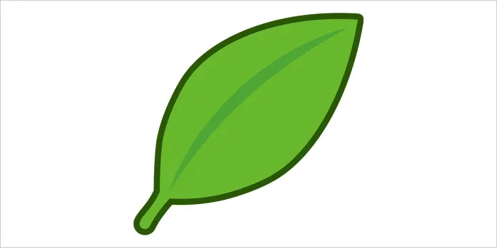 茶葉のイラスト