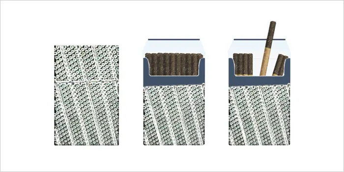 リトルシガーのイラスト