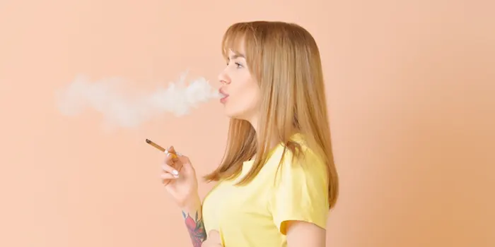 女性におすすめの甘いリトルシガーランキング