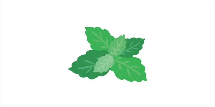ミントのイラスト