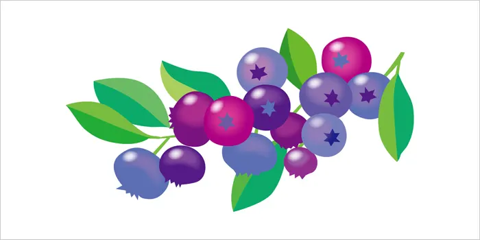 ベリーのイラスト