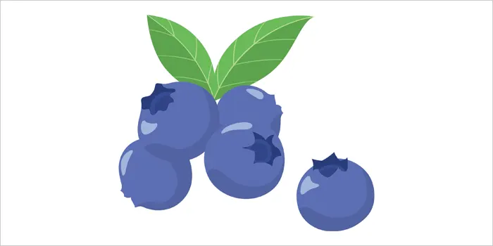 ベリーのイラスト