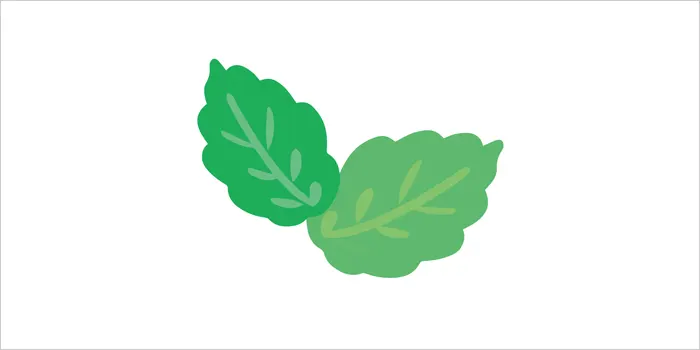 ミントのイラスト