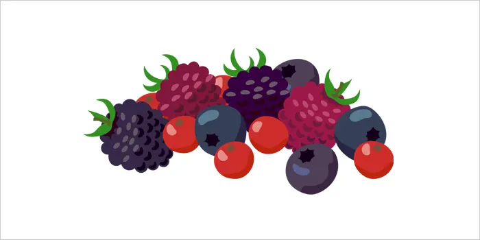 ベリーのイラスト