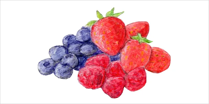 ベリーのイラスト