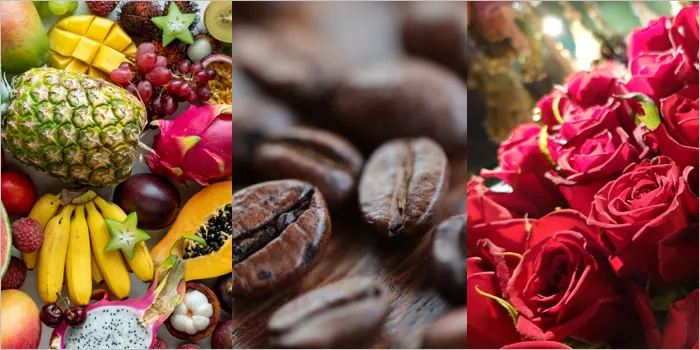 フルーツ・コーヒー豆・バラ