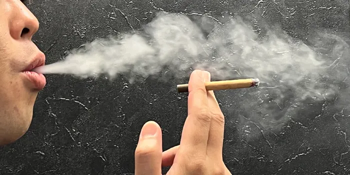 わかばシガーを実際に吸ってみた